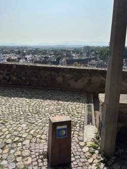 IMG_1016.JPG