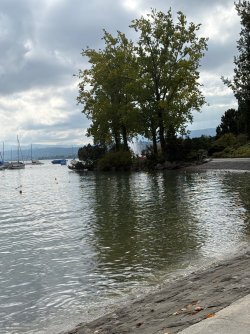 IMG_4405.jpeg
