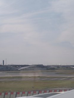 cd15.jpg