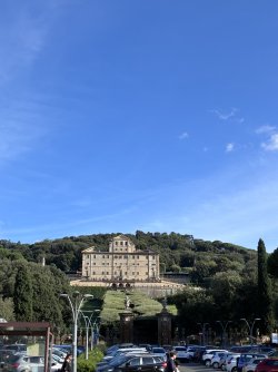 IMG_2993.jpeg IMG_2993.jpeg