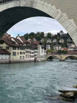 IMG_9802.jpeg