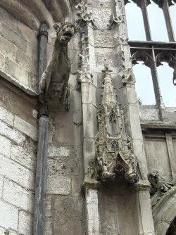 IMG_3326.jpg