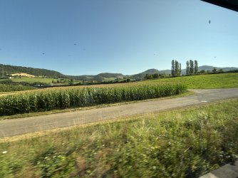 IMG_1183.JPG