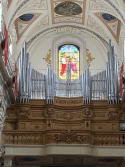 IMG_2343.jpeg