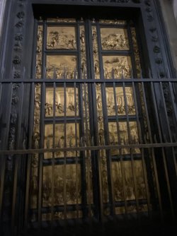 IMG_2368.jpeg