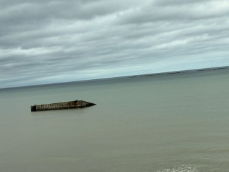IMG_3441.jpg
