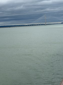 IMG_3453.jpg