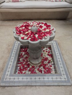 riad4.jpg