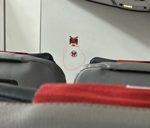 IMG_0082.jpeg