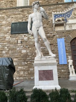 IMG_2401.jpeg