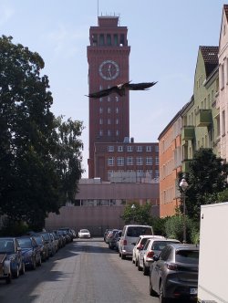 s34.jpg