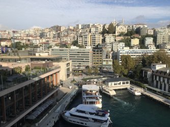 IMG_2922.jpeg