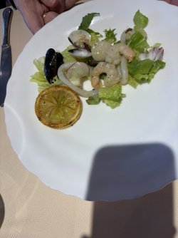 IMG_3475.jpg