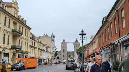 p33.jpg