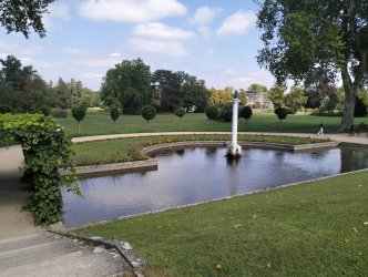 p50.jpg