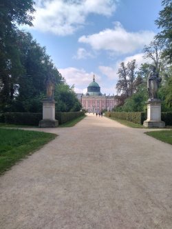 p18.jpg