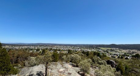 IMG_6378.jpeg