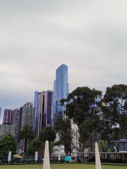 IMG_20251005_153921903_AE.jpg