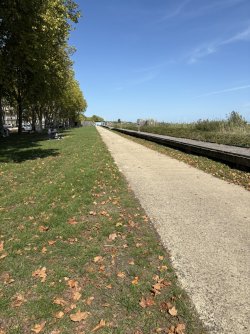 IMG_3523.jpg