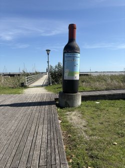 IMG_3525.jpg