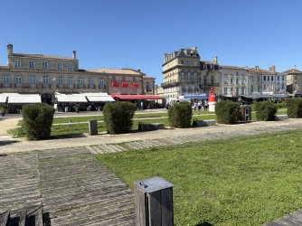 IMG_3526.jpg