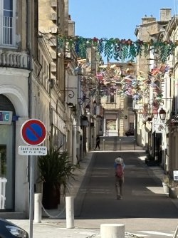 IMG_3527.jpg