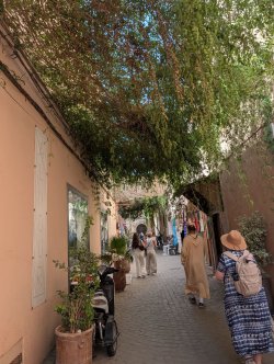 med1.jpg
