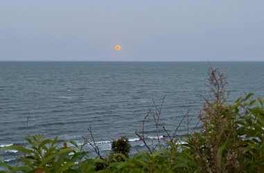 IMG_6482.jpeg