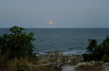 IMG_6484.jpeg