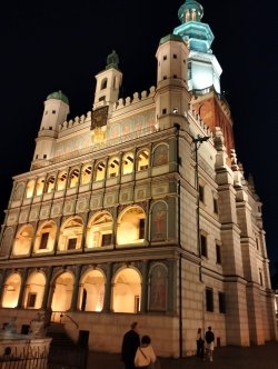 p15.jpg