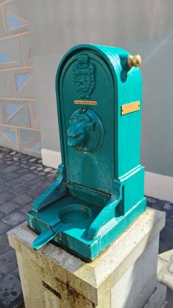 p74.jpg