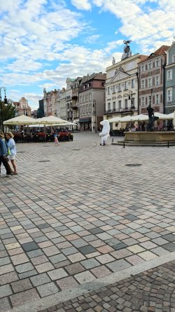 p65.jpg