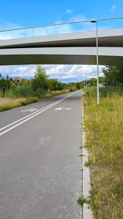 p93.jpg