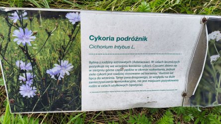 p109.jpg