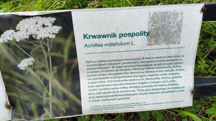 p110.jpg
