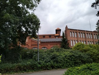p53.jpg