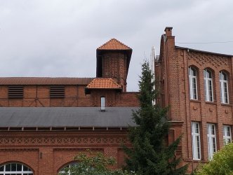 p113.jpg