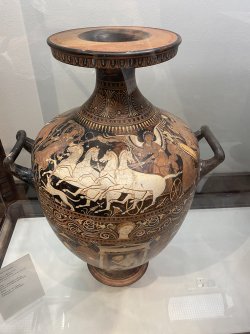 IMG_2427.jpeg