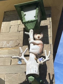 IMG_2430.jpeg