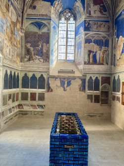 IMG_0678.jpeg