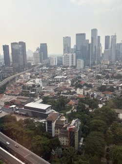 IMG_0911.jpeg