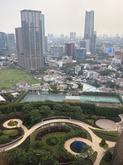 IMG_0912.jpeg