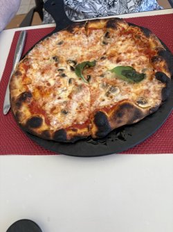 IMG_3555.jpg