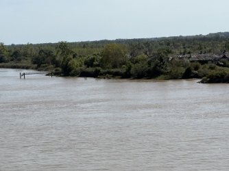 IMG_3558.jpg