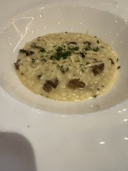 IMG_3571.jpg