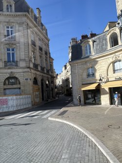 IMG_3611.jpg