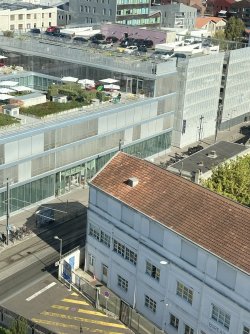 IMG_3629.jpg