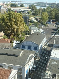 IMG_3630.jpg