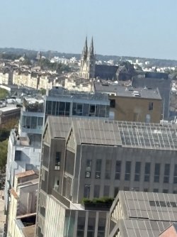 IMG_3640.jpg