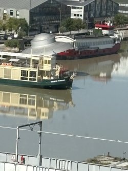IMG_3641.jpg